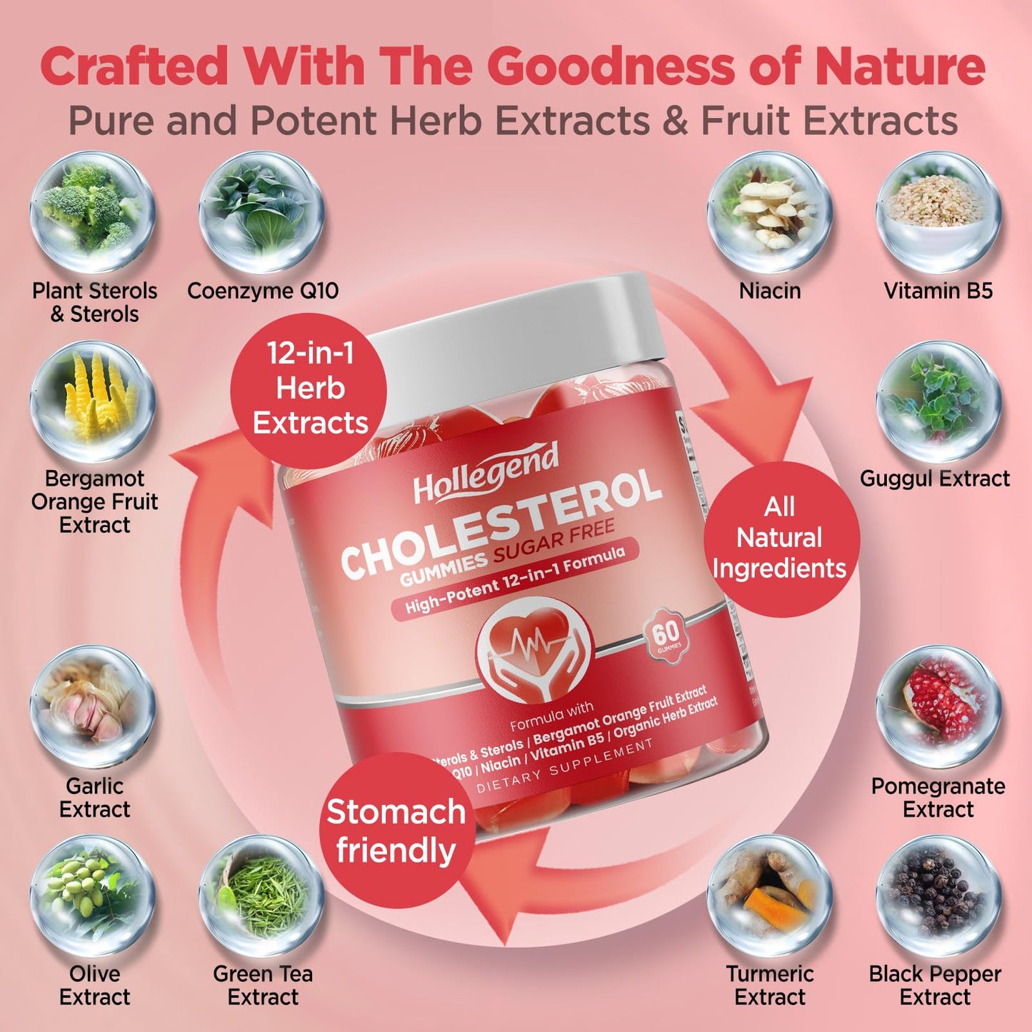 HOLLEGEND Cholesterol Supplements Gummies Sugar Free, 1500mg Plant Sterols for Cholesterol Health, Plus Citrus Bergamot, CoQ10 & Vitamins for Heart Health, Vegan, Mixed Berry Flavor, 60 Chewables HOLLEGENDBuy Supplements Australia