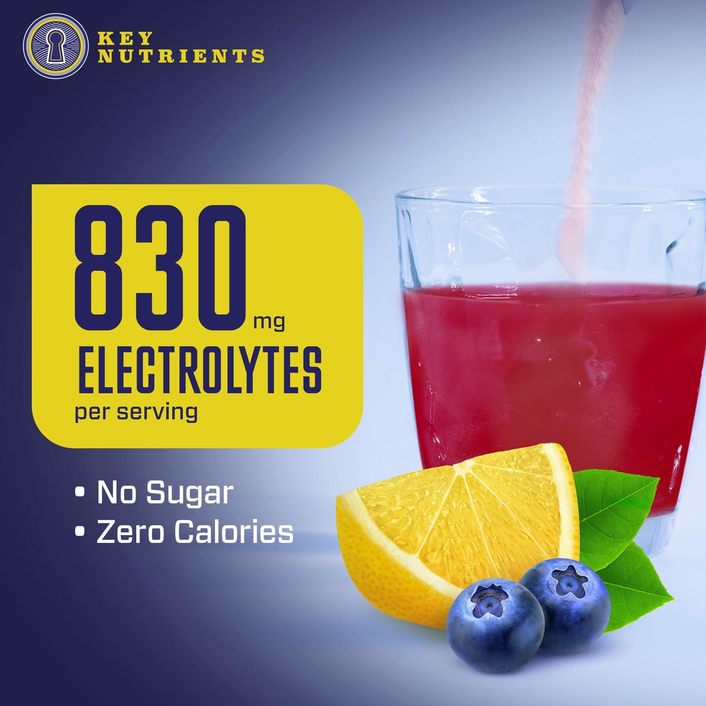 KEY NUTRIENTS Multivitamin Electrolytes Powder No Sugar - Fresh Blueberry Lemonade KEY NUTRIENTSBuy Supplements Australia