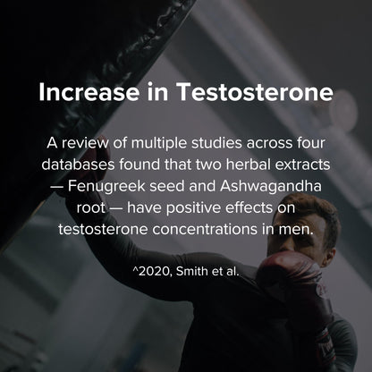 STRIVLABS Peak Potential 12-in-1 Testosterone Support for Men – Natural Strength, Energy & Muscle Builder with Tongkat Ali, Ashwagandha & Fenugreek – 90 Capsules STRIVLABSBuy Supplements Australia