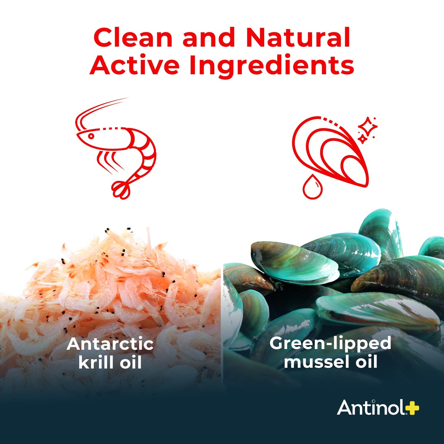 Antinol Plus, Mobility, Hip, and Joint Supplement for Cats, Green-Lipped Mussels and Krill Oil - Cat Joint Supplement, 30 Soft Gels AntinolBuy Supplements Australia