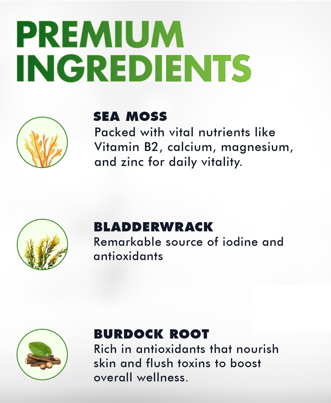 BIO VITALICA Sea Moss Gummies – with Bladderwrack & Burdock Root – Wildcrafted Gel + Powder – Vegan, Keto, Non-GMO, Gluten-Free – Fruity Mineral-Rich Gummies – 50 Count (3 Pack) BIO VITALICABuy Supplements Australia