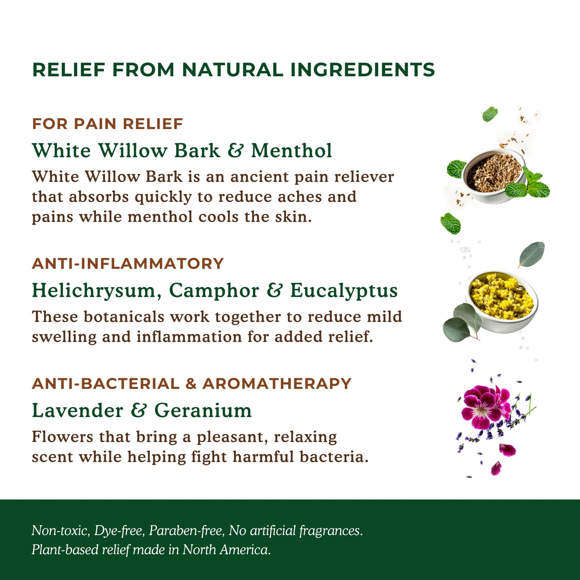 Nature's Willow Willow Balm Natural Pain Relief Cream for Muscles & Joints | Fast-Acting with Willow Bark & Menthol | Free from Artificial Fragrances & Dyes | 6-Pack | 3.5 fl oz Nature's WillowBuy Supplements Australia