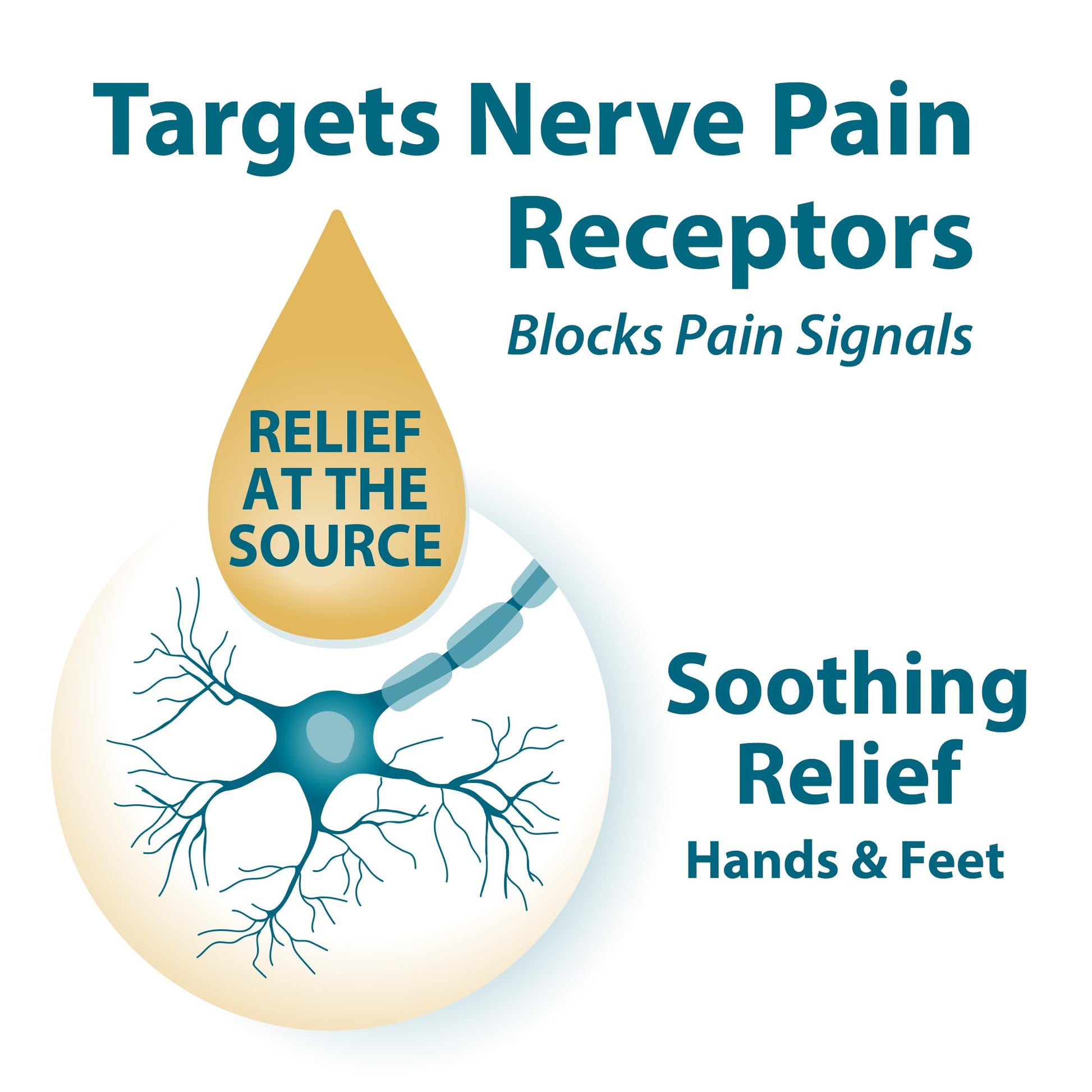 FRANKINCENSE & MYRRH Foot Pain Combo Pack: Foot Pain Relief Rubbing Oil (2 oz) and Intensive Therapy Lotion for feet (3 oz), Neuropathy, Nerve Relief, Frankincense Essential Oil, Maximum Strength FRANKINCENSE & MYRRHBuy Supplements Australia