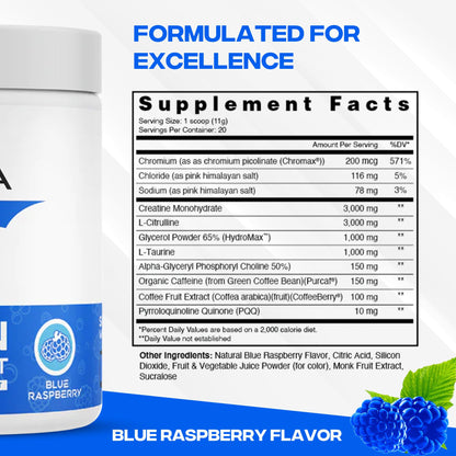 XEELA Organic Pre Workout Powder: Clean Preworkout for Men & Women, with Flavored XEELABuy Supplements Australia