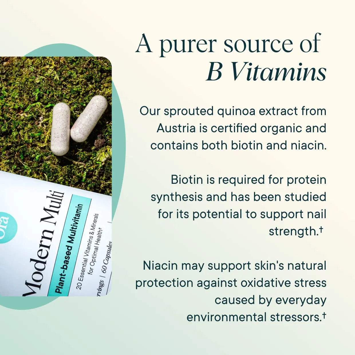 Ora Organic Plant Based Multivitamin for Women and Men, Bluelight Protection - Brain, Eye, Energy, Immune, Skin, Hair, Heart Ora Organic