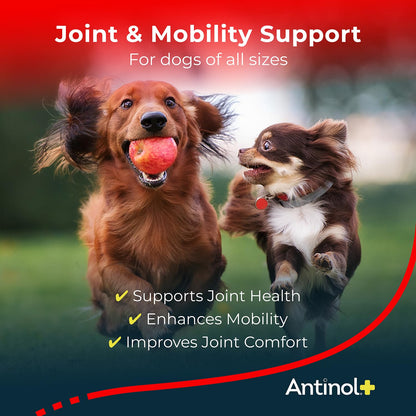 Antinol Plus, Mobility, Hip, and Joint Supplement for Dogs, Green-Lipped Mussels and Krill Oil - Dog Joint Supplement, Better and Faster Than Glucosamine and Chondroitin, 120 Soft Gels AntinolBuy Supplements Australia