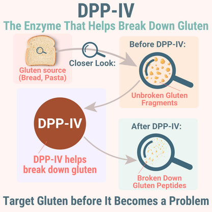 Gluten & Lactase Digestive Enzyme Gummies – Lactase Pancreatic Enzymes with DPP‑IV Lipase Gluco‑Amylase Lactase, Drops Chewables Capsules Pills Powder Supplement Alt, Pancreatic Support, for Kids SHIZAMBuy Supplements Australia