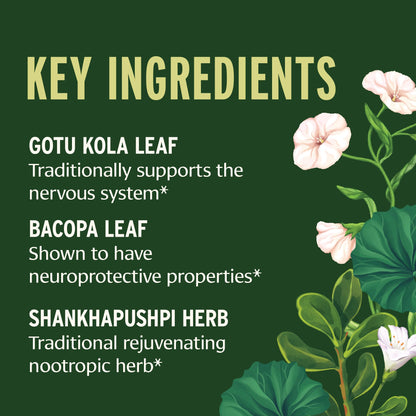 Banyan Botanicals Focus Liquid Extract – Organic Focus Supplement – Liquid Extract in Non-Alcoholic Glycerin – Nootropic Herbs for Fast-Acting Support* – 1 oz. – Non-GMO Sustainably Sourced Vegan Banyan BotanicalsBuy Supplements Australia