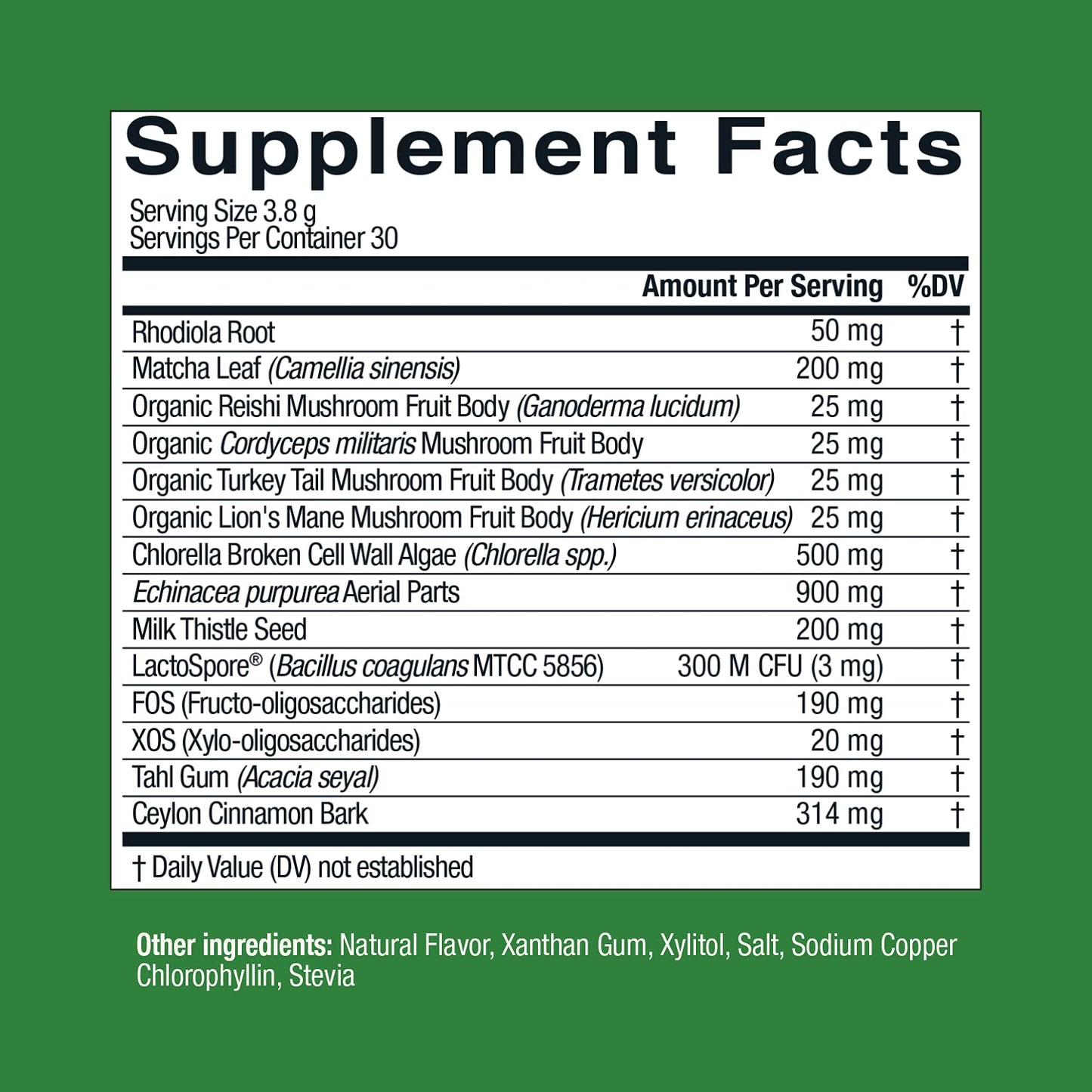 Live Conscious Beyond Greens Concentrated Superfood Powder - Matcha Flavor w/Chlorella, Echinacea, Probiotics for Immune Support & Energy - 30 Servings (2-Pack) Live ConsciousBuy Supplements Australia