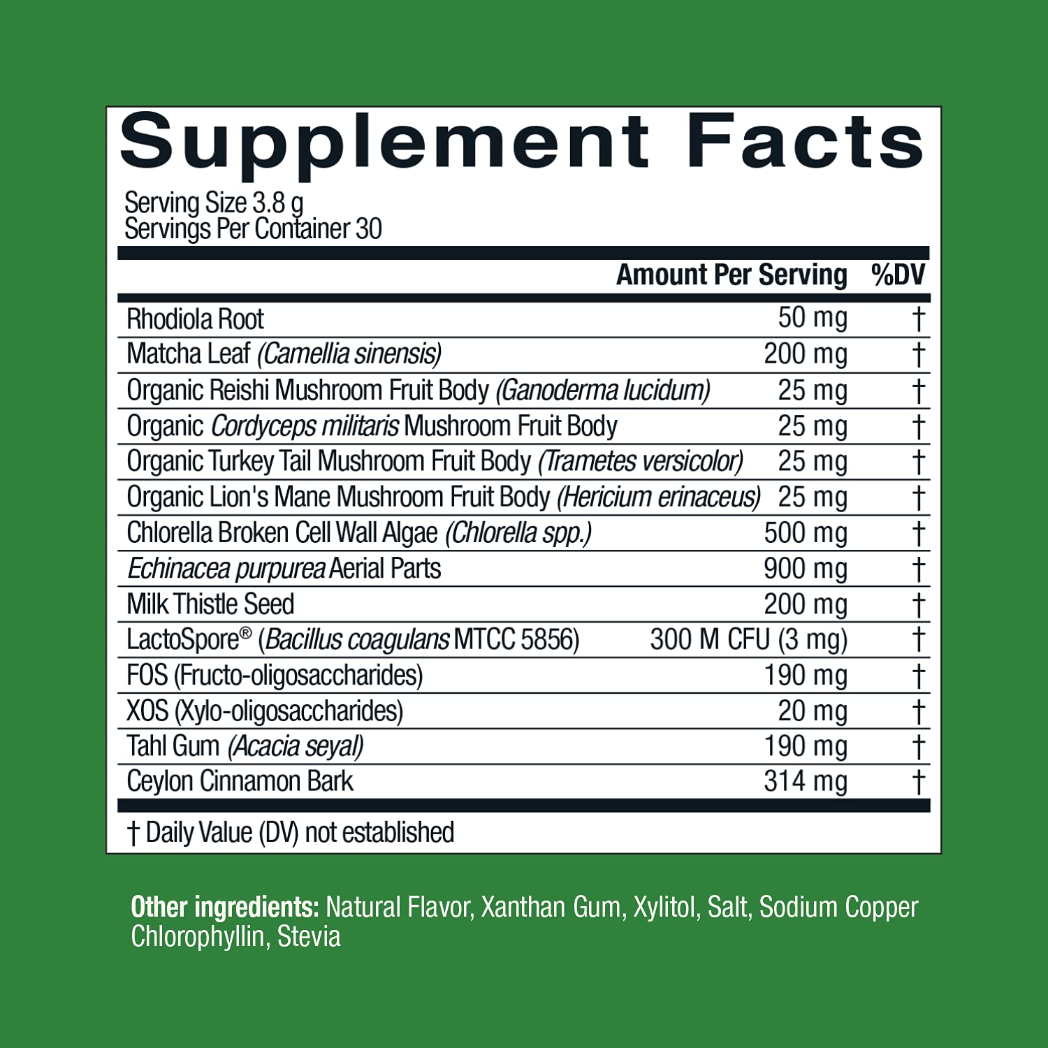 Live Conscious Beyond Greens Superfood Powder - Delicious Debloating Super Greens Powder - Matcha Greens Blend w/Chlorella, Echinacea, Probiotics for Immune Support & Energy Live ConsciousBuy Supplements Australia