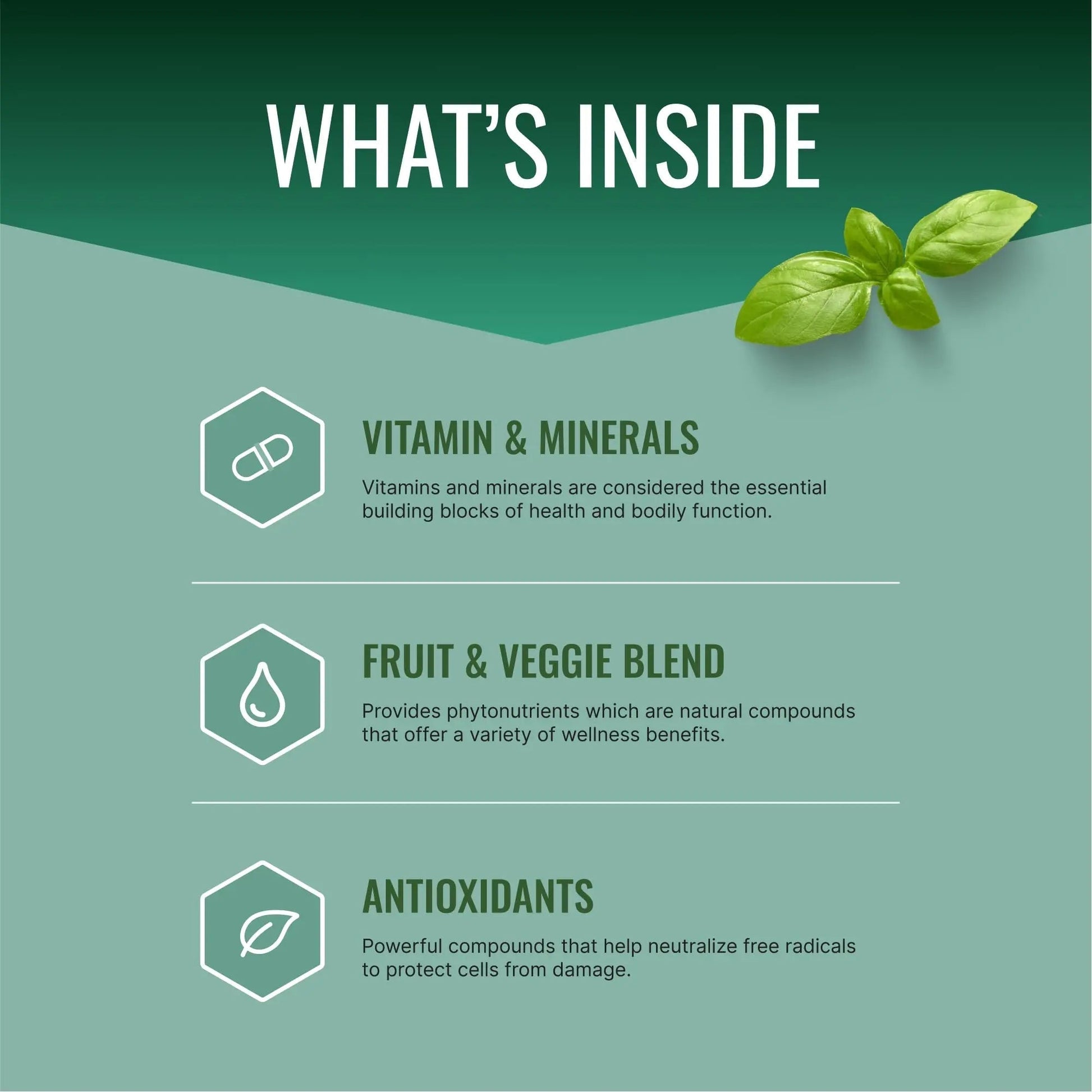 Approved Science Multi-Vitamin - with Full-Spectrum B-Vitamins, Green Tea, Lutein, Lycopene, Zeaxanthin, BioPerine Approved Science