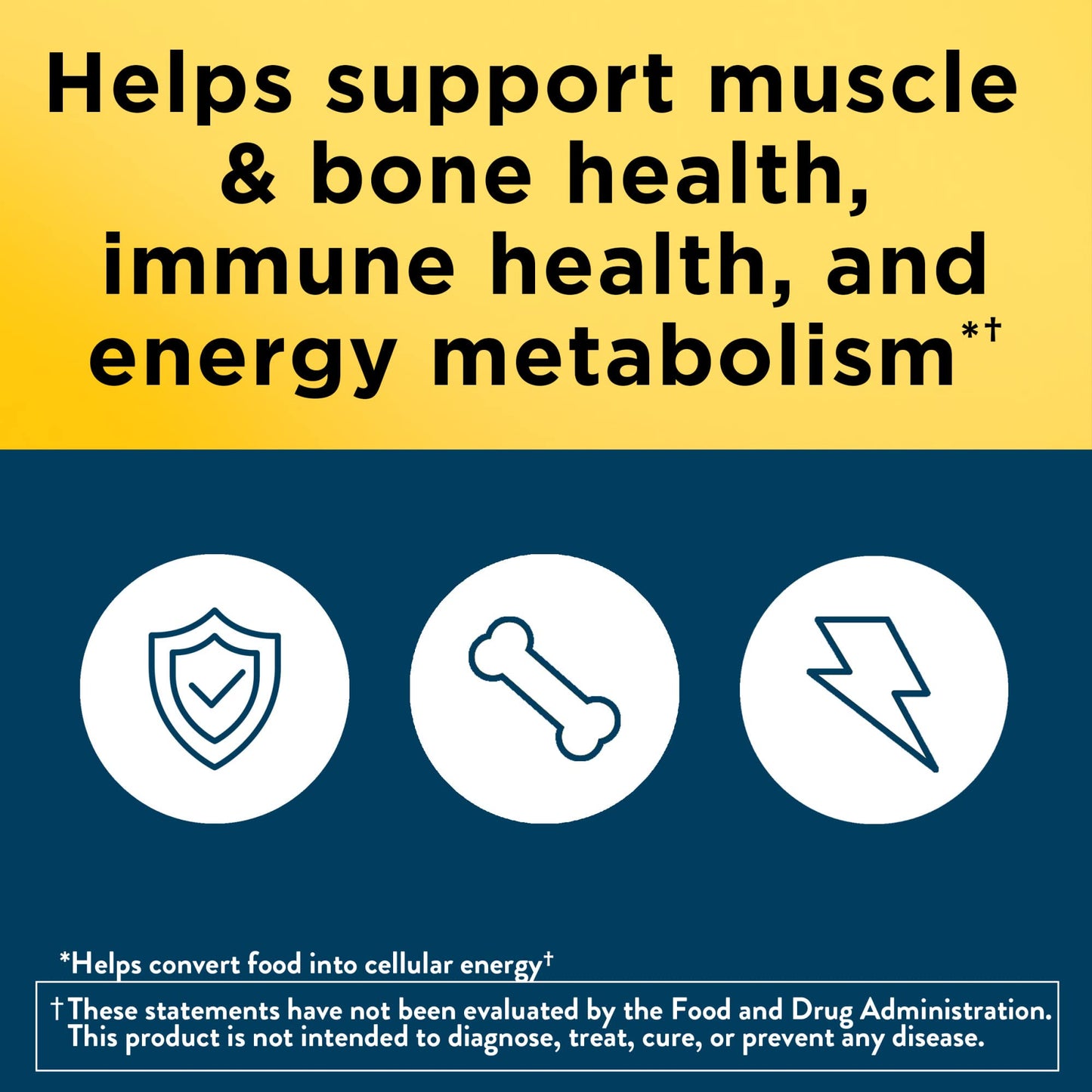 Nature Made Multivitamin for Men Over 50, Mens Multivitamins 50 Plus, Daily Nutritional Support, Nature Made Multi Vitamins Nature MadeBuy Supplements Australia