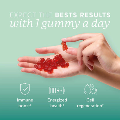 Bears with Benefits Immune Support Gummies – Vitamin C, D, B6 & B12 – Daily Immune Boost – Vegan, Naturally Flavored (30 Gummies) Bears with BenefitsBuy Supplements Australia