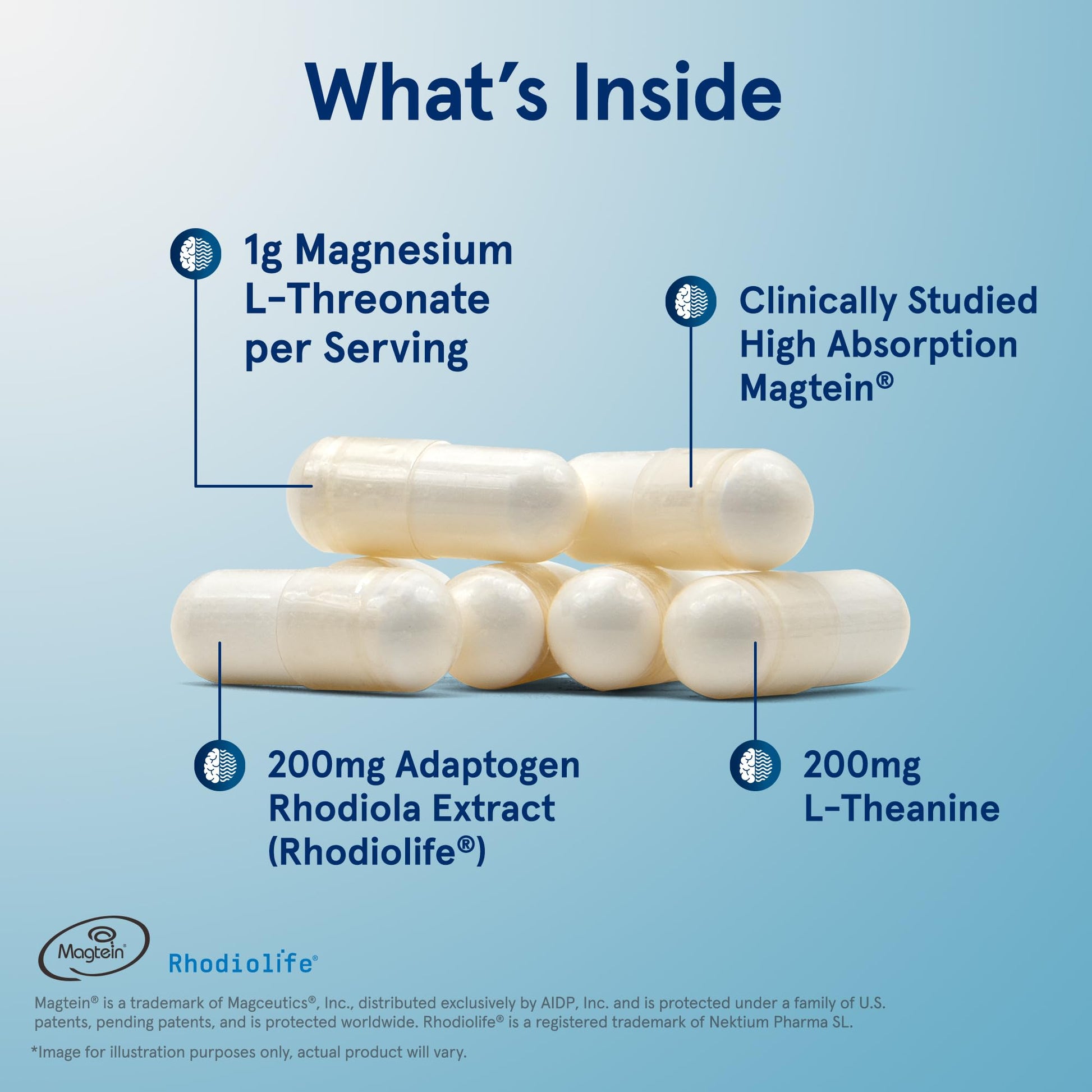 Jarrow Formulas Magnesium L-Threonate, MagMind Stress Resistance with L-Theanine and Rhodiolife, High Absorption Magnesium, Stress Relief and Mood Support, 60 Veggie Capsules, Up to a 30 Day Supply Jarrow FormulasBuy Supplements Australia
