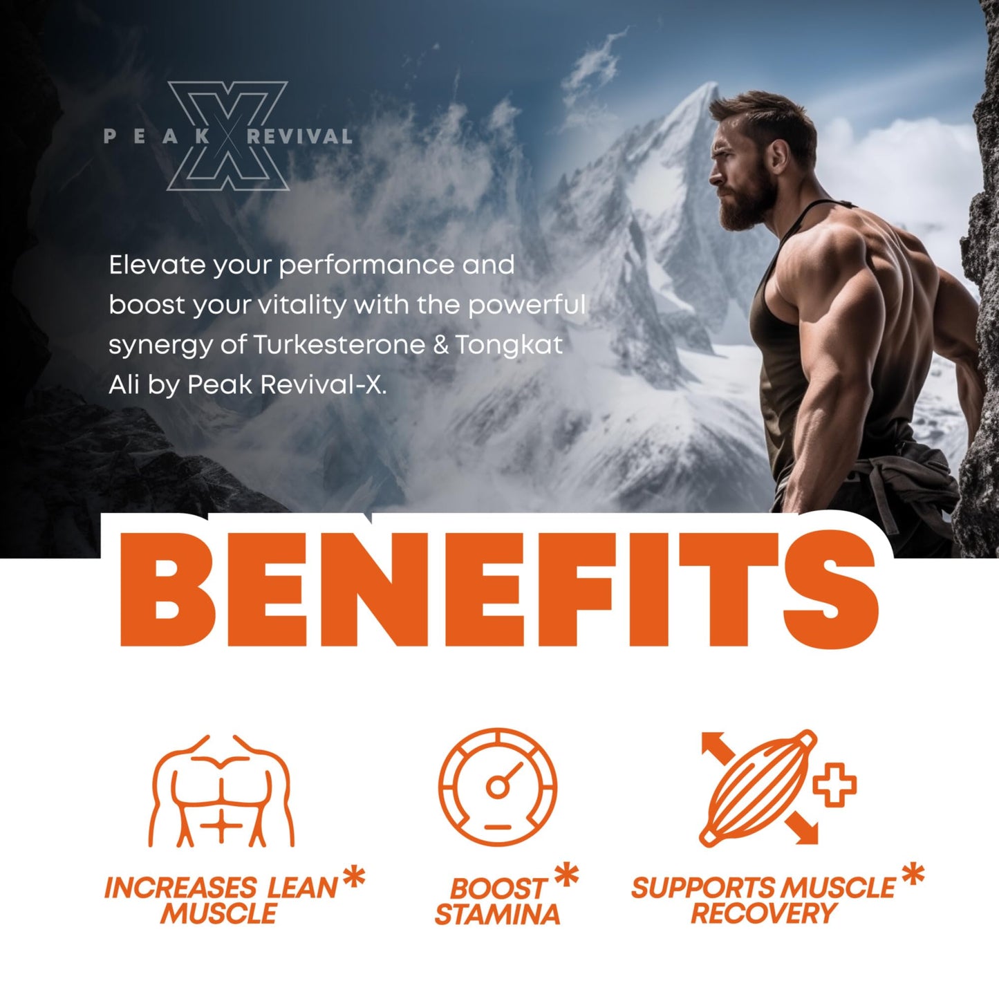 Peak Revival-X Turkesterone & Tongkat Ali 1000mg Supplement - 500mg Ajuga Turkestanica Per Serving Increase Stamina, Lean Muscle Growth & Recovery - Made in The USA (60 Capsules) Peak Revival-XBuy Supplements Australia