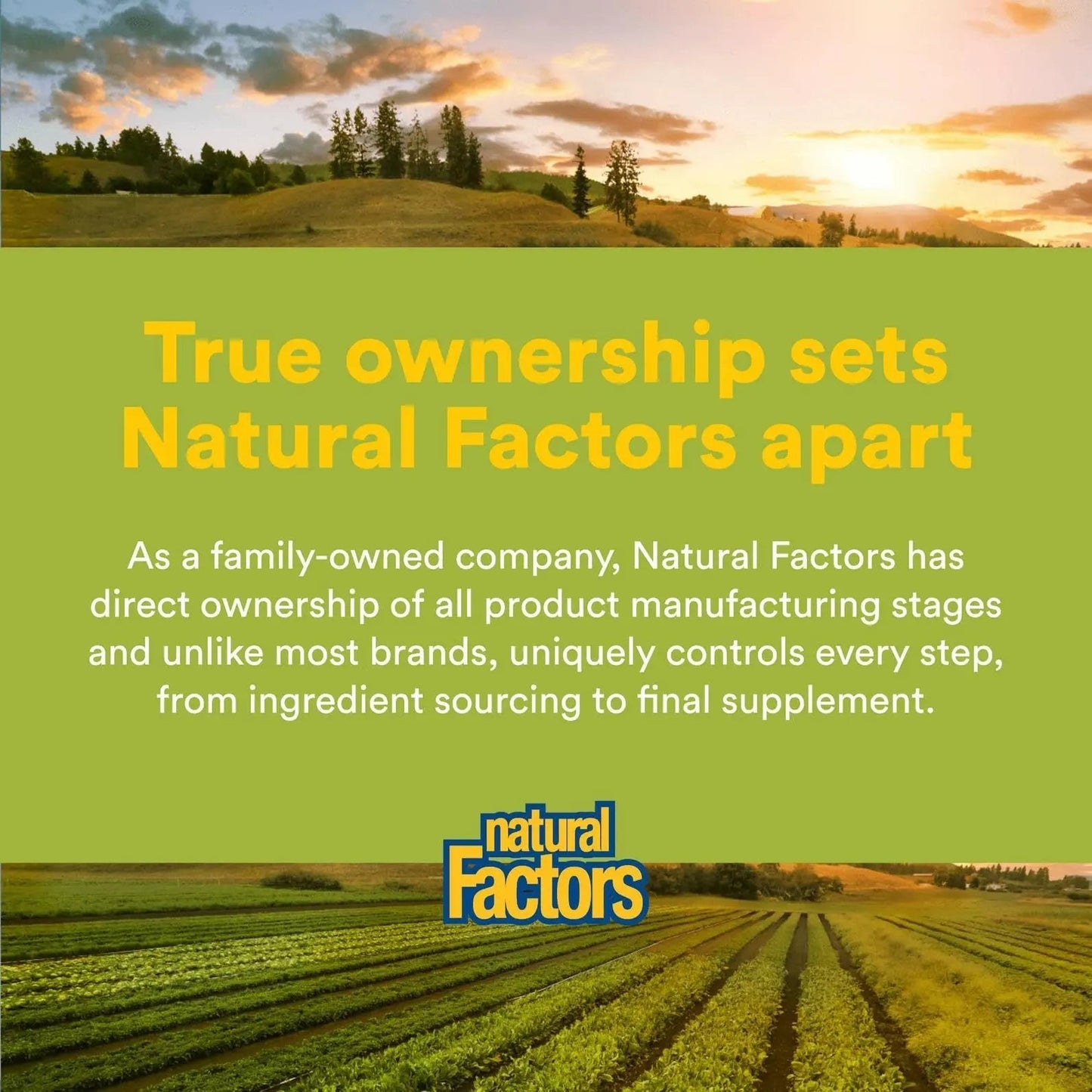 Natural Factors Whole Earth & Sea Men's Multivitamin s& Mineral, 1 Serving Contains Nutrition Equivalent to ½ lb of Veggies, 120 Tablets Natural Factors