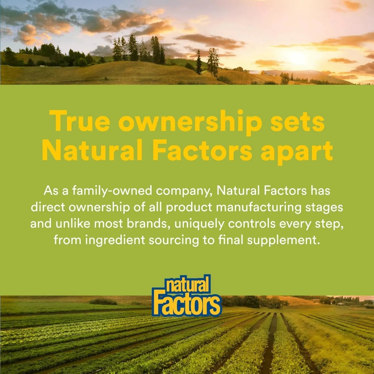 Natural Factors Whole Earth & Sea Men's Multivitamin s& Mineral, 1 Serving Contains Nutrition Equivalent to ½ lb of Veggies, 120 Tablets Natural Factors