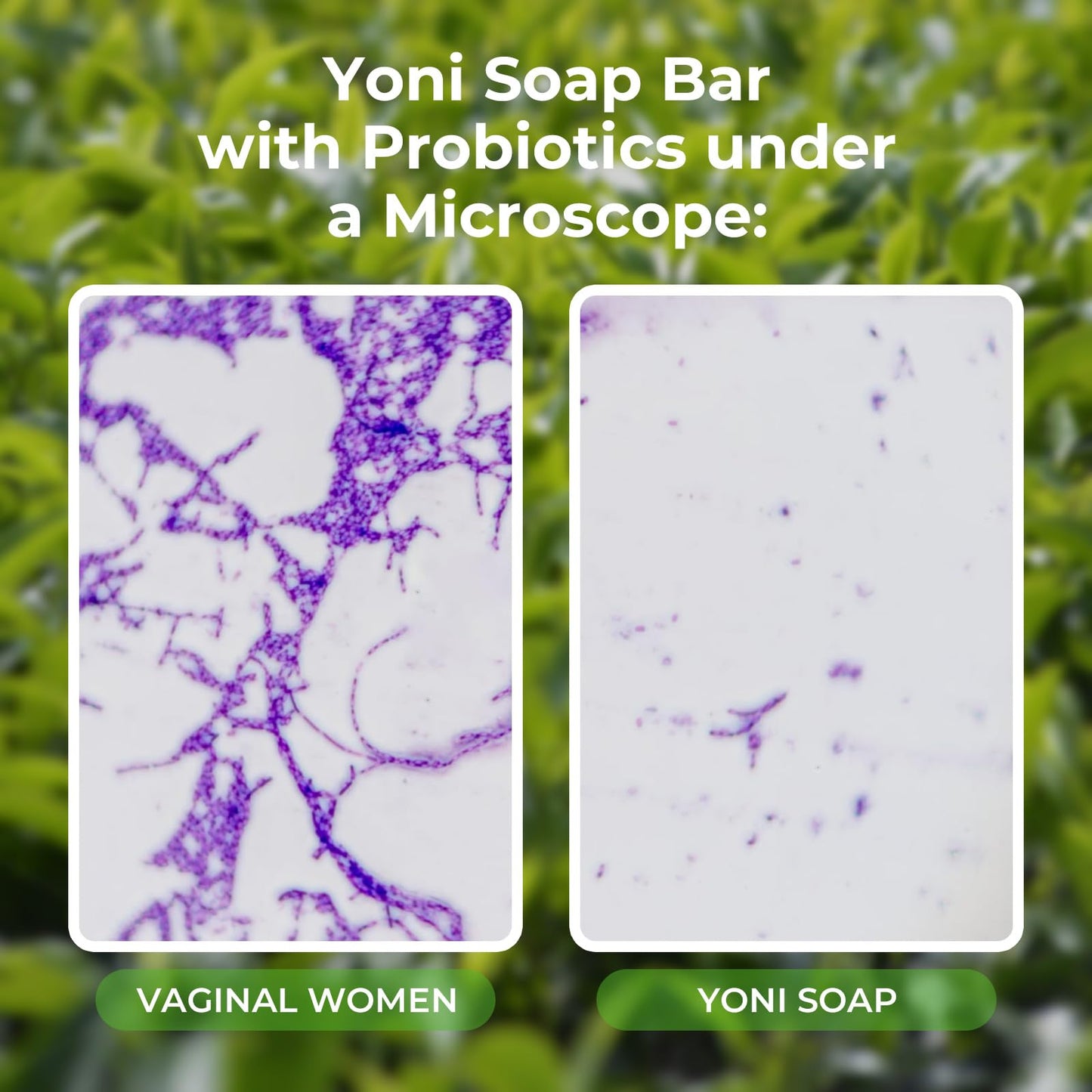 Feminine Wash & Yoni Oil & Yoni Soap Tea Tree Set for Women, Yoni Wash for Vaginal Ph Balance Remove BASSIBuy Supplements Australia