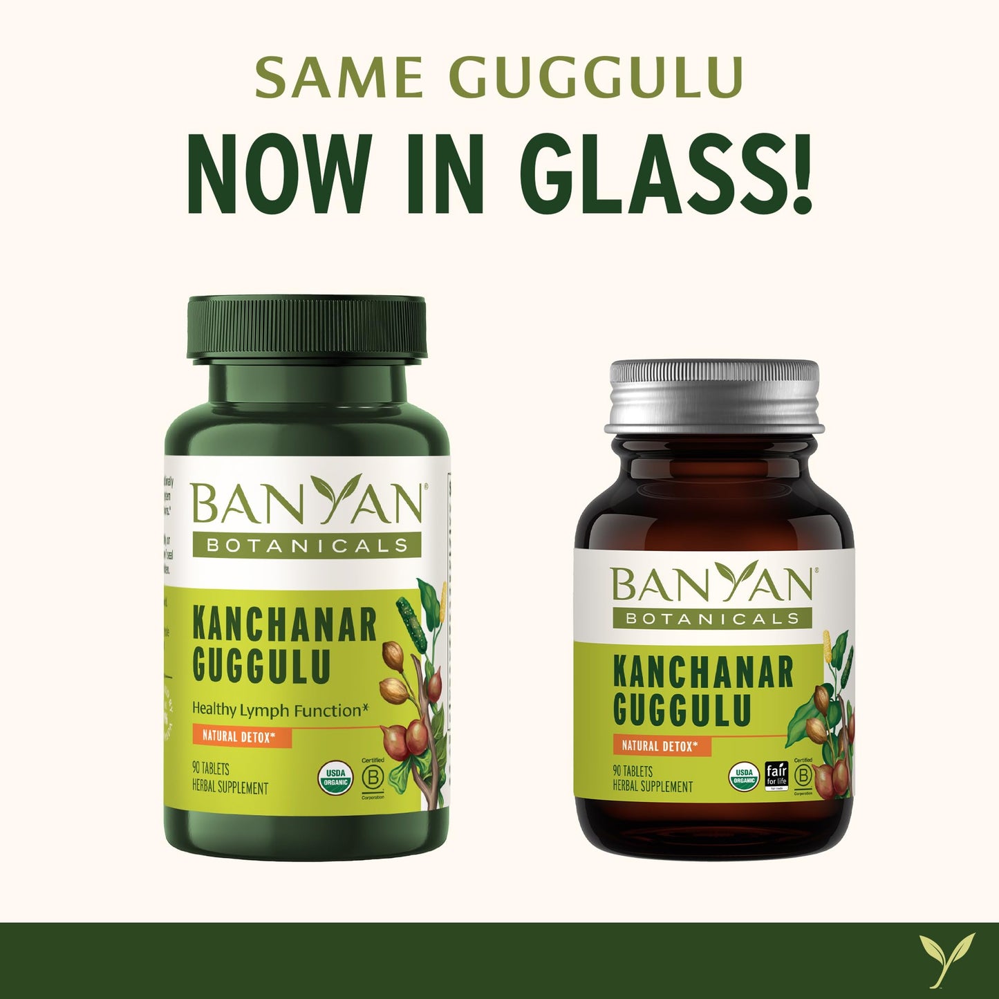 Banyan Botanicals Kanchanar Guggulu Tablets – Organic Lymph Supplement with Guggulu Resin – Promotes the Healthy Elimination of Natural Toxins* – 90 Tablets – Non-GMO Sustainably Sourced Vegan Banyan BotanicalsBuy Supplements Australia