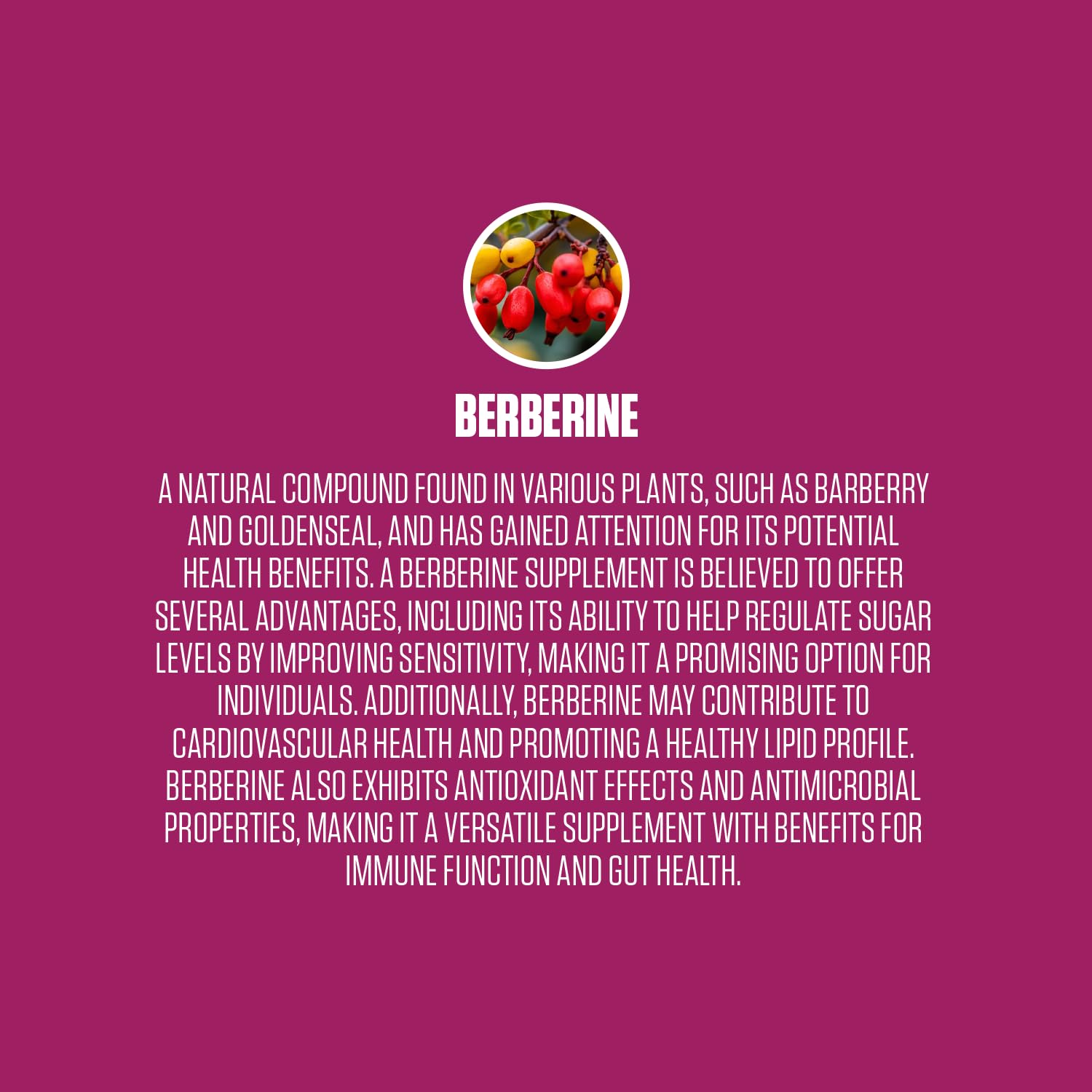 Berberine Extra Strength | #1 Rated Berberine Supplement for Heart Health, Improve Energy EPN SupplementsBuy Supplements Australia