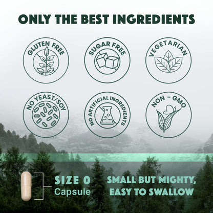 Natural Rhythm Triple Calm Magnesium Complex - 120 Capsules, Chelated Magnesium Glycinate, Taurate & Malate, High Absorption Supplement for Sleep, Stress, Muscle & Heart Support, Non-GMO, Vegan Natural RhythmBuy Supplements Australia