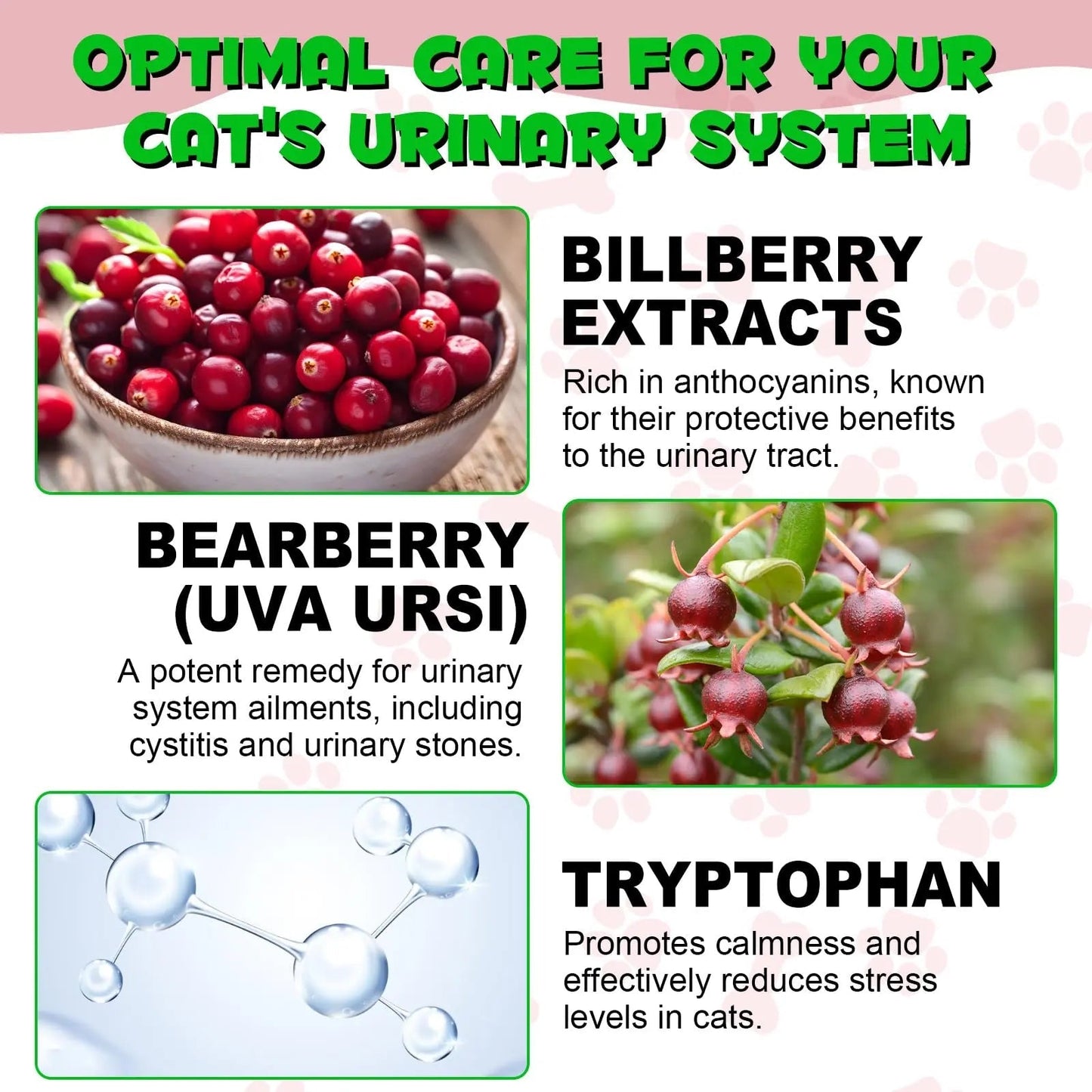 Cat Urinary Tract Infection Treatment, Cat UTI Treatment Drops Supports Bladder, Kidney Stone, Cranberry Kidney Bladder Support Supplement, Chicken Flavor, 60ml BTQAFVZTBuy Supplements Australia