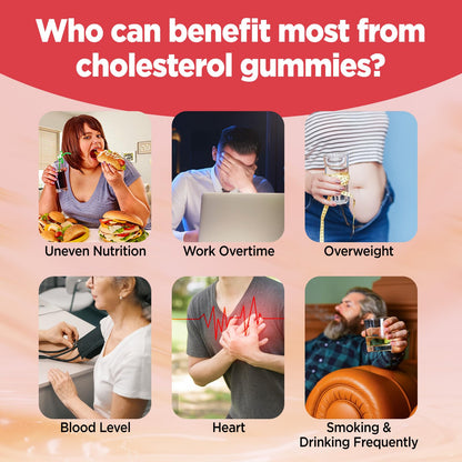 HOLLEGEND Cholesterol Gummies Sugar-Free,12-in-1 Cholesterol Supplements with Plant Sterols,Citrus Bergamot,CoQ10 and Vitamins for Cholesterol Health, Vegan, Mixed Berry Flavor, 60 Counts HOLLEGENDBuy Supplements Australia