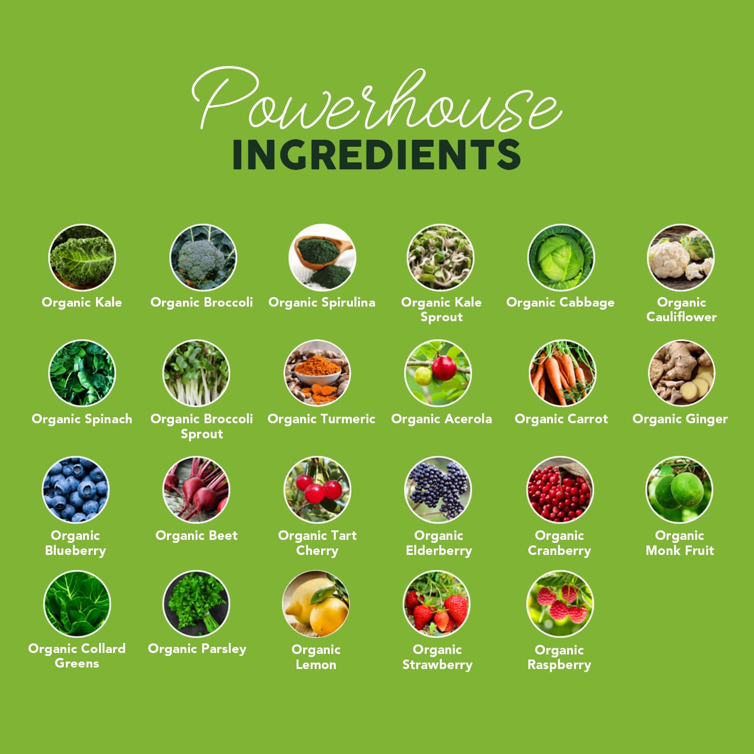 Paleovalley Organic Supergreens Powder - 23 Superfoods with Prebiotic Fiber for Energy and Immunity Support - No Cereal Grasses for Maximum Absorption - Pure Unflavored, 30 Servings PaleovalleyBuy Supplements Australia