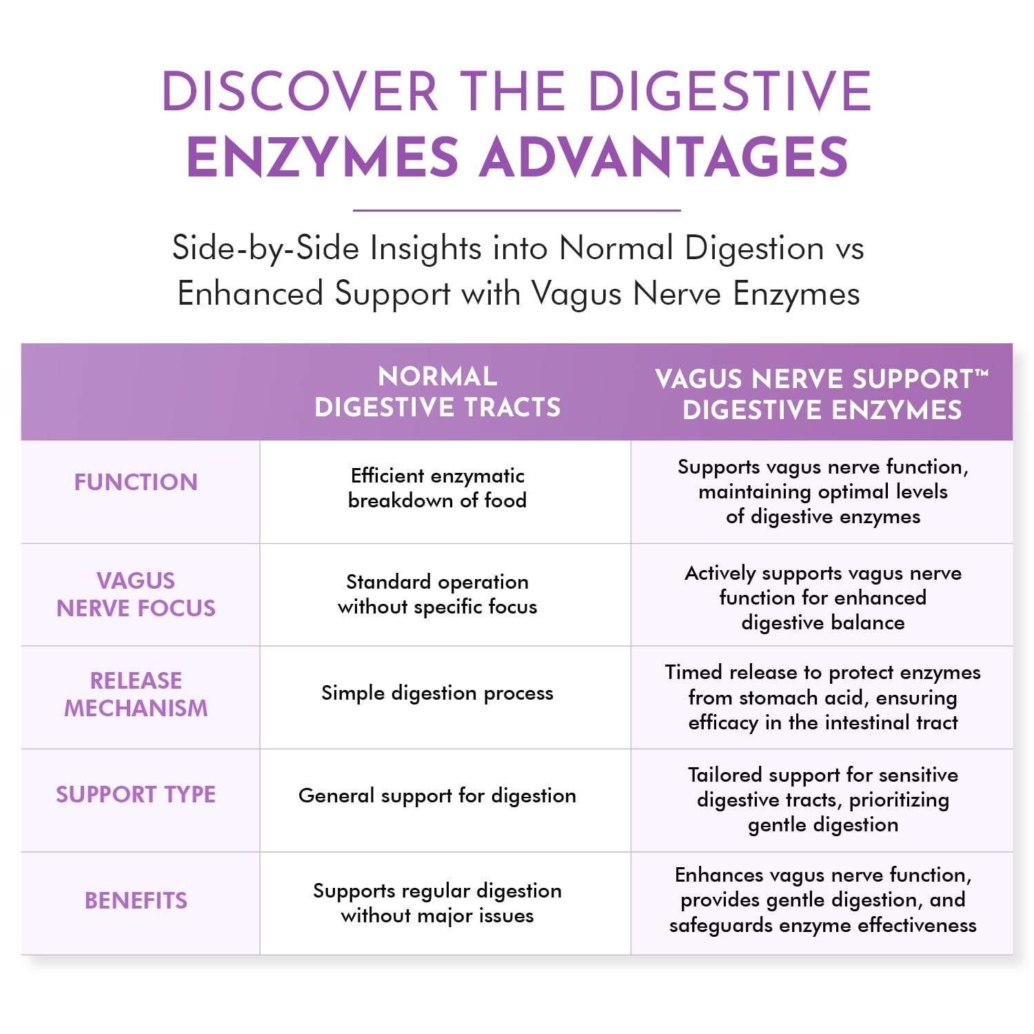 TJ Nutrition Digestive Enzymes for Sensitive Stomachs - Supports Vagus Nerve, Vegetarian Pancreatic Support, Timed Release Formula for Optimal Gut Health, Enhances Food Digestion & Gut Flora TJ NutritionBuy Supplements Australia