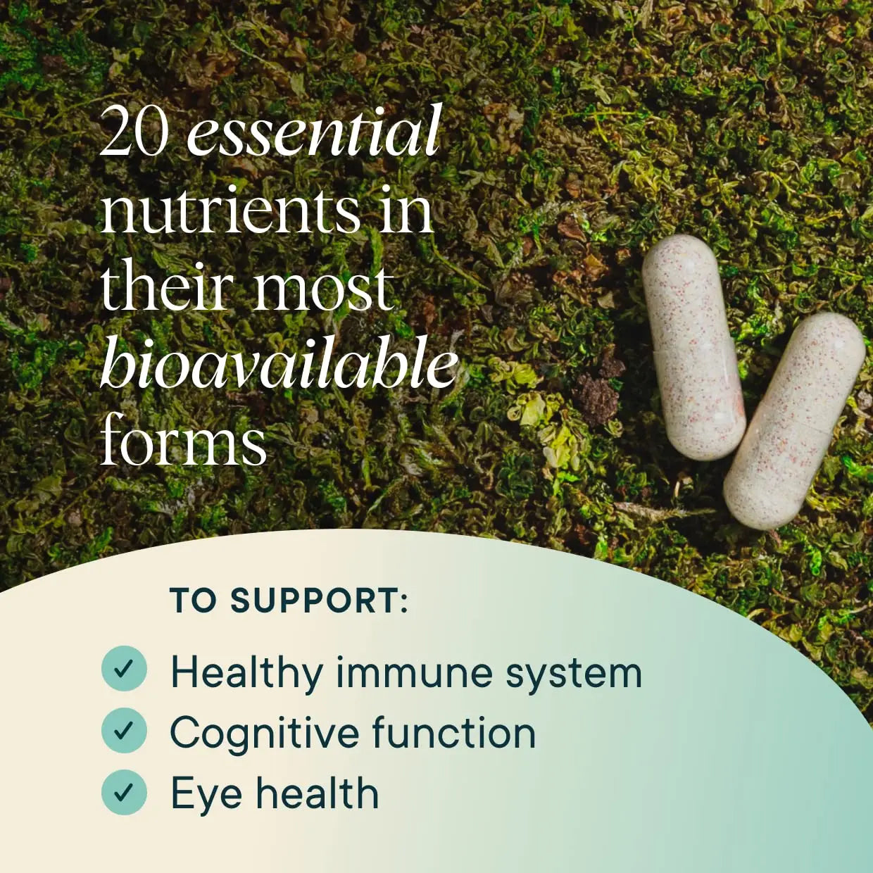 Ora Organic Plant Based Multivitamin for Women and Men, Bluelight Protection - Brain, Eye, Energy, Immune, Skin, Hair, Heart Ora Organic