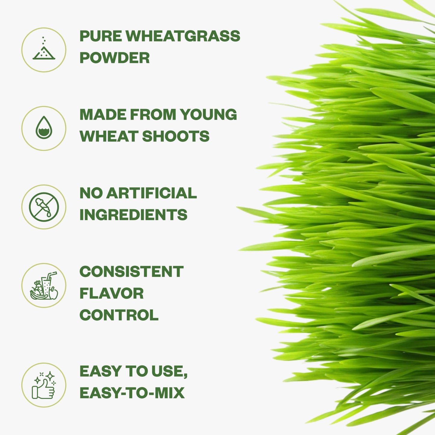 Purisure Wheatgrass Powder, 8oz, Wheat Grass Powder, Green Superfood for Salads, Smoothie and Shakes, Superfood Powder Rich in Immunity Vitamins, Fiber and Minerals, 76 Servings PurisureBuy Supplements Australia