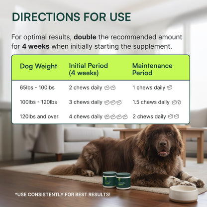 Wuffes Chewable Dog Hip & Joint Supplement - Glucosamine & Chondroitin Chews - Dog Joint Supplements & Vitamins - Extended Joint Care (Large Breed (Over 65 lbs), 60 Chews (Pack of 2)) WuffesBuy Supplements Australia