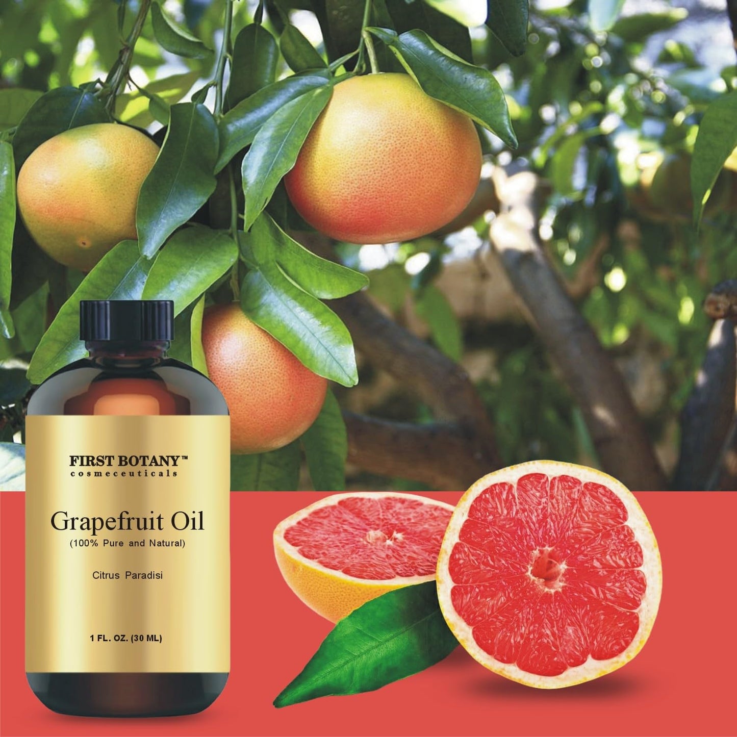 100% Pure Essential Oil - Premium Oil for Aromatherapy, Massage, Topical & Household Uses - 1 fl oz (Grapefruit) First BotanyBuy Supplements Australia