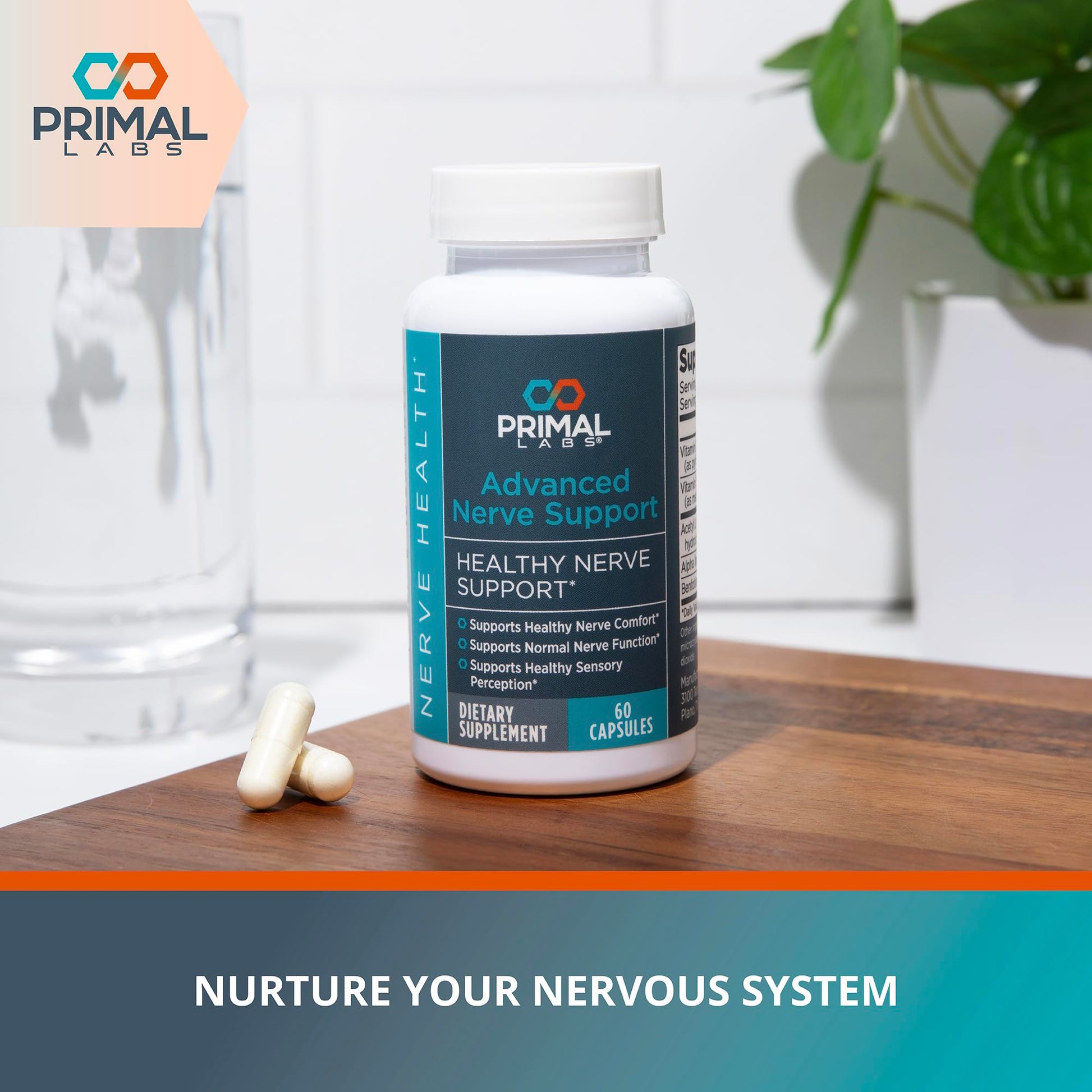 Primal Labs Nerve Support Capsules - Supports Nerve Health, Sensory Function & Comfort - Benfotiamine, Alpha Lipoic Acid, Acetyl L-Carnitine, Vitamins B6 B12-60 Count Primal LabsBuy Supplements Australia