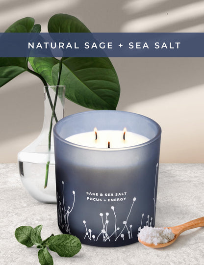 White Sage Sea Salt 3 Wick Candle 14.5 oz | Sage Candles for Cleansing House | Large Soy Candles GIFTAWAYBuy Supplements Australia