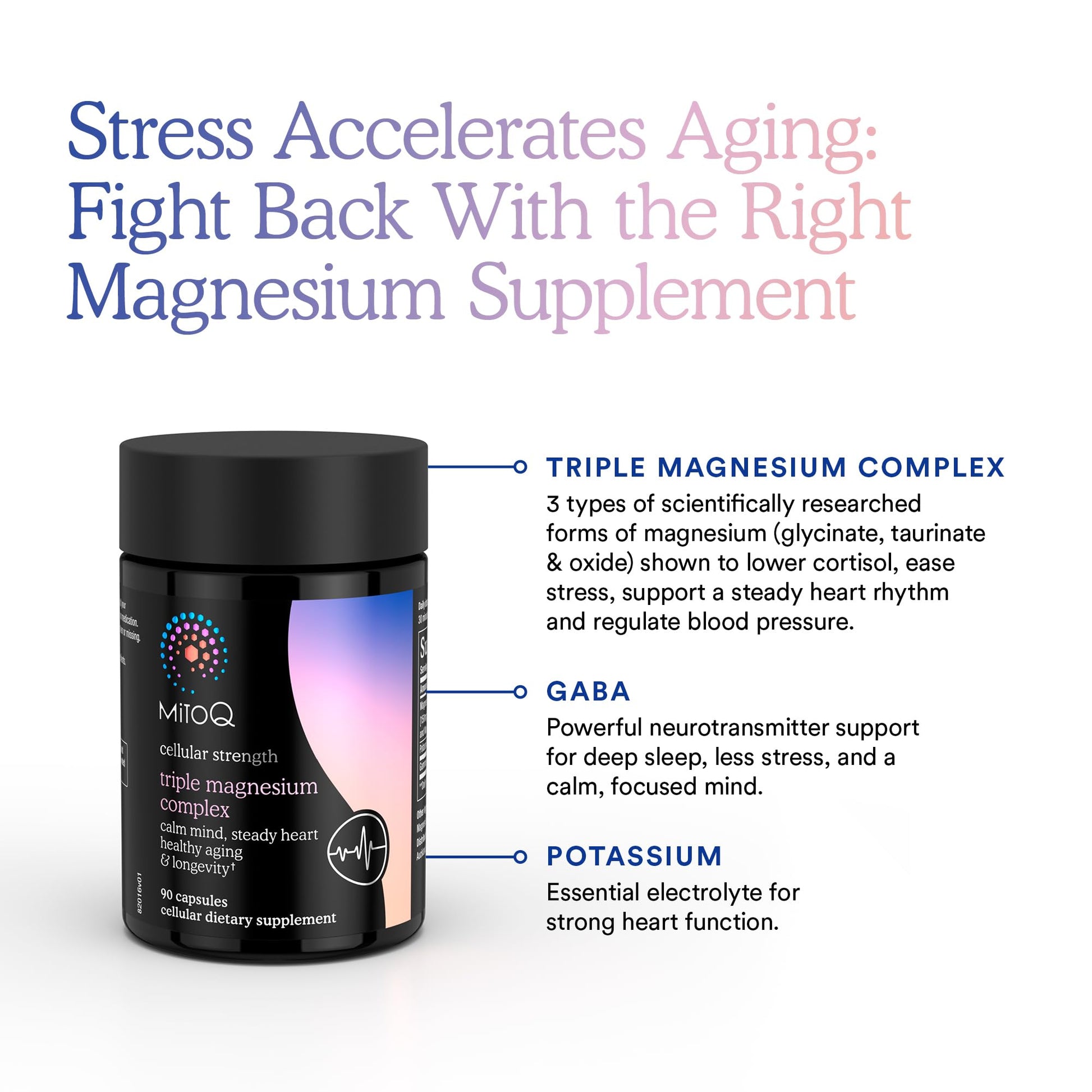 MitoQ Triple Magnesium Complex | Magnesium Glycinate, Taurinate, Oxide with GABA for Heart Health, Stress Management, & Deeper Sleep | High Absorption | 90 Capsules MitoQBuy Supplements Australia