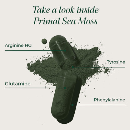 Primal Harvest Sea Moss Capsules with Bladderwack and Irish Sea Moss, Chlorella, Broccoli Seed Extract Plant-Based Supplements for Adults Primal HarvestBuy Supplements Australia