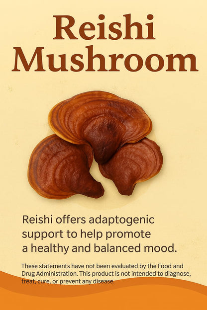 Mushroom Complex Capsules with Lion’s Mane, Reishi, Cordyceps, Chaga & Turkey Tail – True Totality Mushroom Power – Immune, Energy & Focus Support – 90 Vegan Capsules True TotalityBuy Supplements Australia