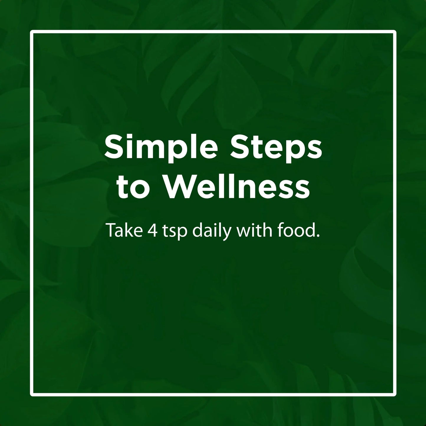 Flora - Daily Multi Essentials+, Liquid Multivitamin Formula, 13 Essential Vitamins & Minerals, 15 Fl Oz FloraBuy Supplements Australia