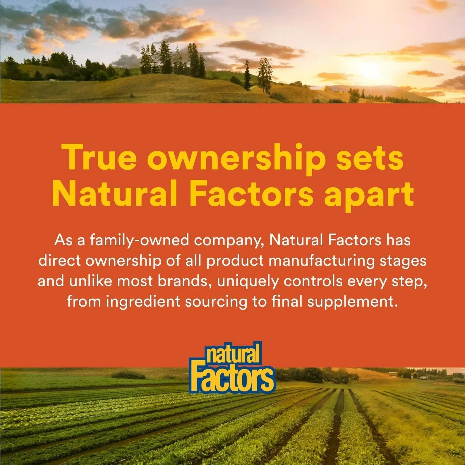Natural Factors Hi Potency B Complex, 50 mg, 90 Capsules Natural FactorsBuy Supplements Australia