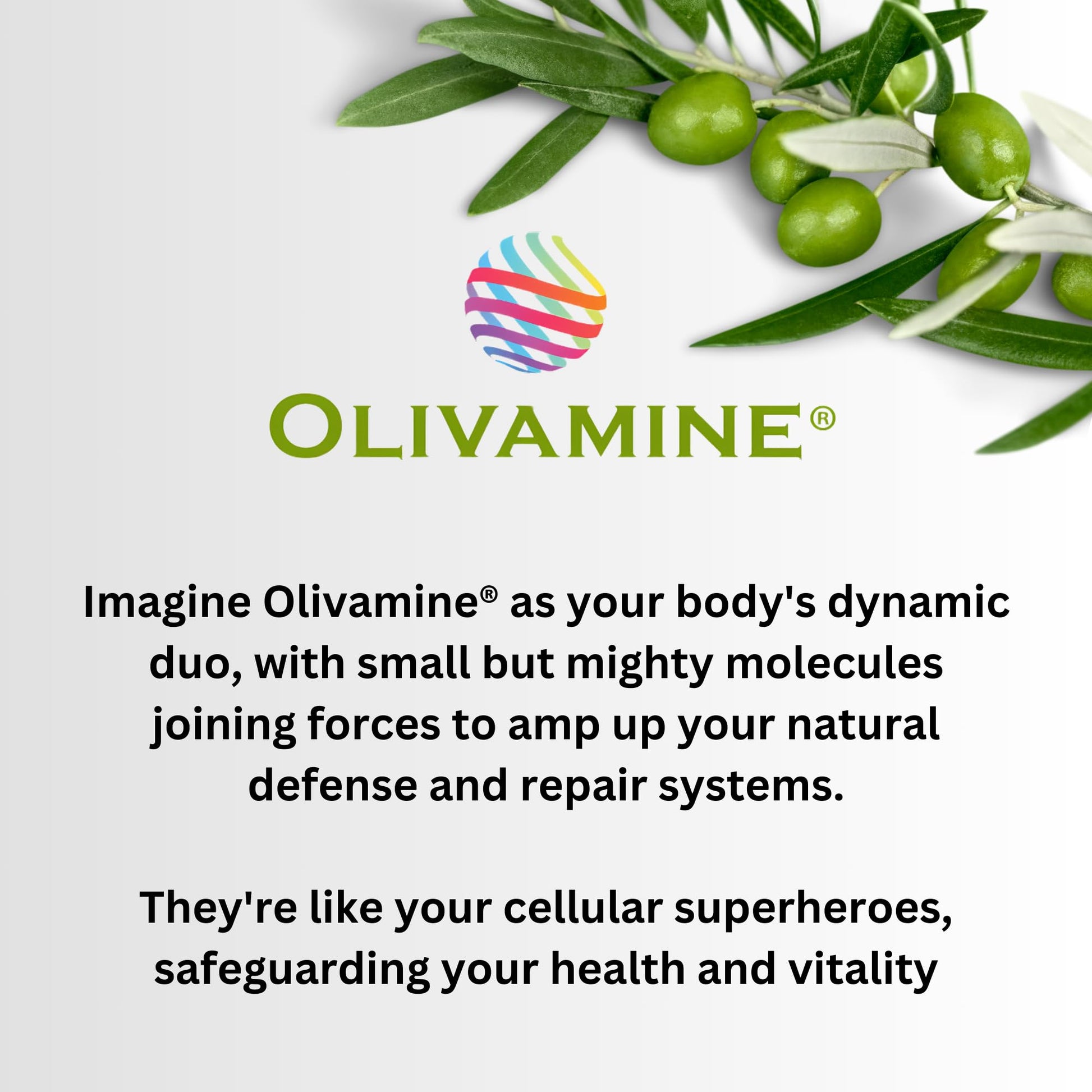 BrainHealth Brain Supplement - Amplify Memory, Increase Focus, Enhance Clarity & Gain Productivity For Men & Women, Olivamine, Vitamin D, Vitamin B6 & B12, Rhodiola Rosea, Magnesium, Taurine PinnaclifeBuy Supplements Australia