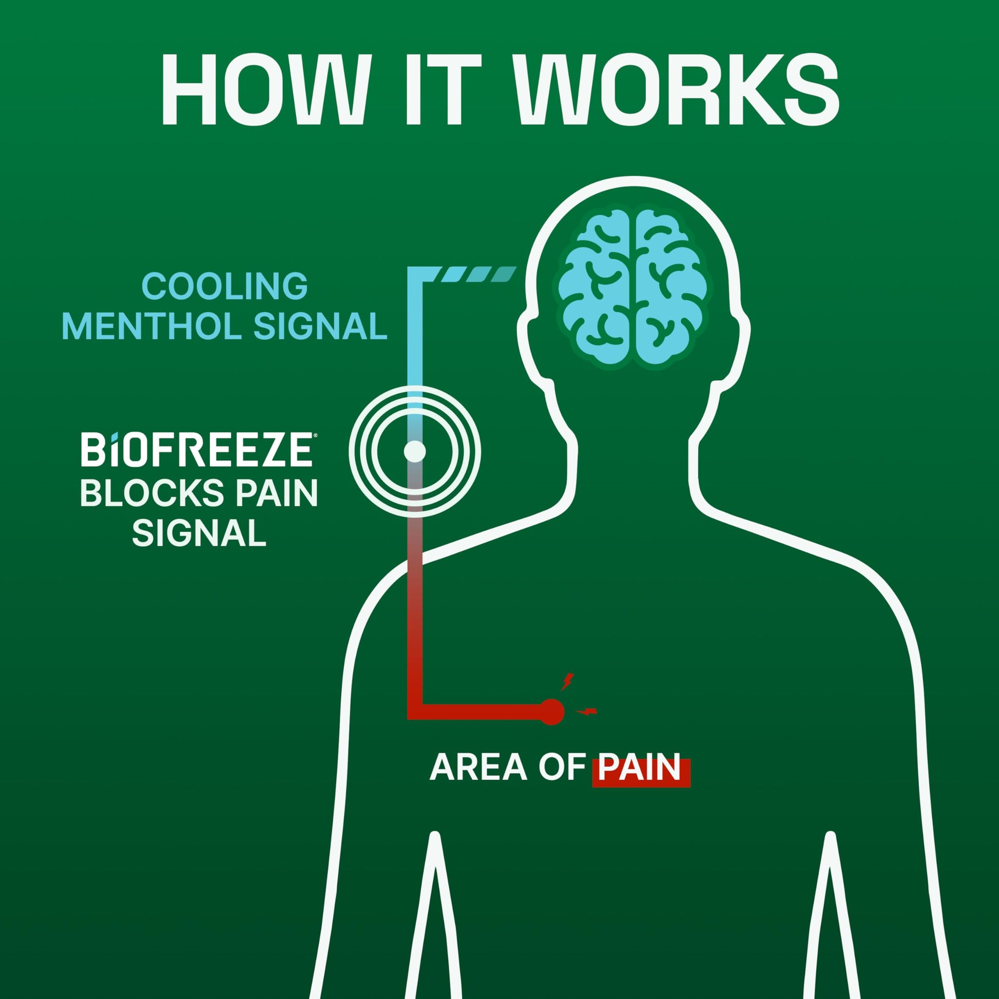 Biofreeze Gel Menthol Pain Relieving Colorless Gel 4 FL OZ Tube For Pain Relief Associated With Sore Muscles, Arthritis, Simple Backaches, And Joint Pain BiofreezeBuy Supplements Australia