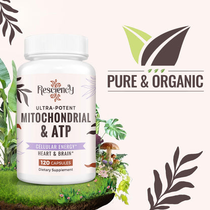 Resciency 2326 MG Mitochondrial Supplements with ATP, Vitamins, CoQ10 & PQQ, More Effective Than Creatine HMB & Nitric Oxide, Energy, Endurance, Strength, Recovery & Muscle, Organic, 120 Capsules ResciencyBuy Supplements Australia