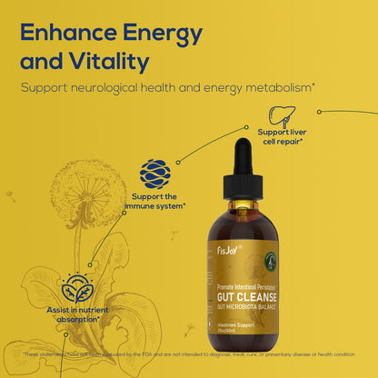 Fisjoy L-Carnitine & Herbal Liquid Drops – Gentle Daily Digestive Support with Pumpkin Seed, Clove & PAU D’Arco Extracts, Folate & Chromium, Vegan, Sugar-Free, 2 fl oz (60 mL) FisjoyBuy Supplements Australia