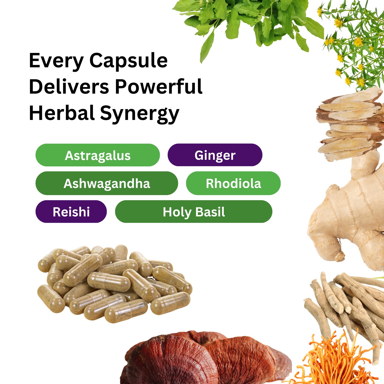 Paradise Herbs, Imperial Adaptogens, with Ashwagandha, Astragalus, Rhodiola, Proprietary Adaptogen Blend for Stress Support, Focus & Energy, 60 Vegetarian Capsules Paradise HerbsBuy Supplements Australia