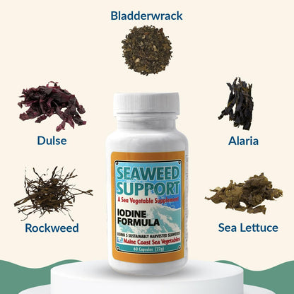 Maine Coast Sea Vegetables Seaweed Support Iodine Formula | Source of Iodine from Seaweed | Daily Use Iodine Supplement | Organic Alaria, Rockweed, Sea Lettuce, Dulse & Bladderwrack blend | 60 Capsule Maine Coast Sea VegetablesBuy Supplements Australia