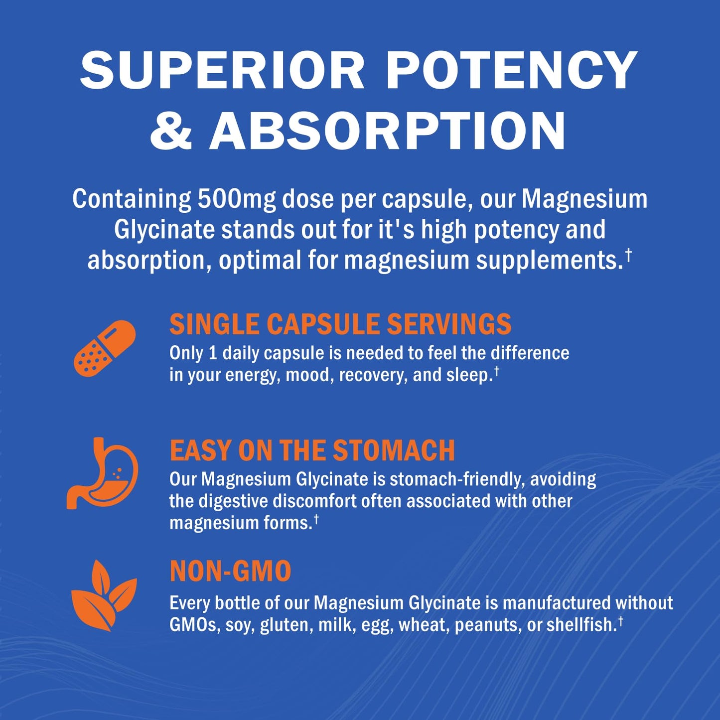 Magnesium Glycinate - High Absorption Magnesium Supplement 500mg Per Serving for Stress Relief, Sleep, Heart and Bone Health, Nerve Support - Non-GMO, Gluten-Free, Gentle on Stomach, 240 Capsules GOODBIOBuy Supplements Australia