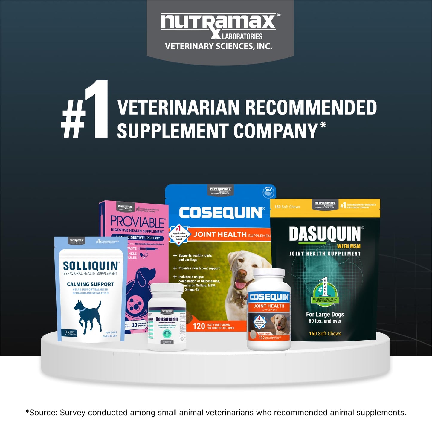 Nutramax Dasuquin for Large Dogs, Joint Health Supplement, Contains Glucosamine for Dogs, Plus Chondroitin, ASU and More, Supports Healthy Joints, Soft Chews, 84 Count Nutramax LaboratoriesBuy Supplements Australia