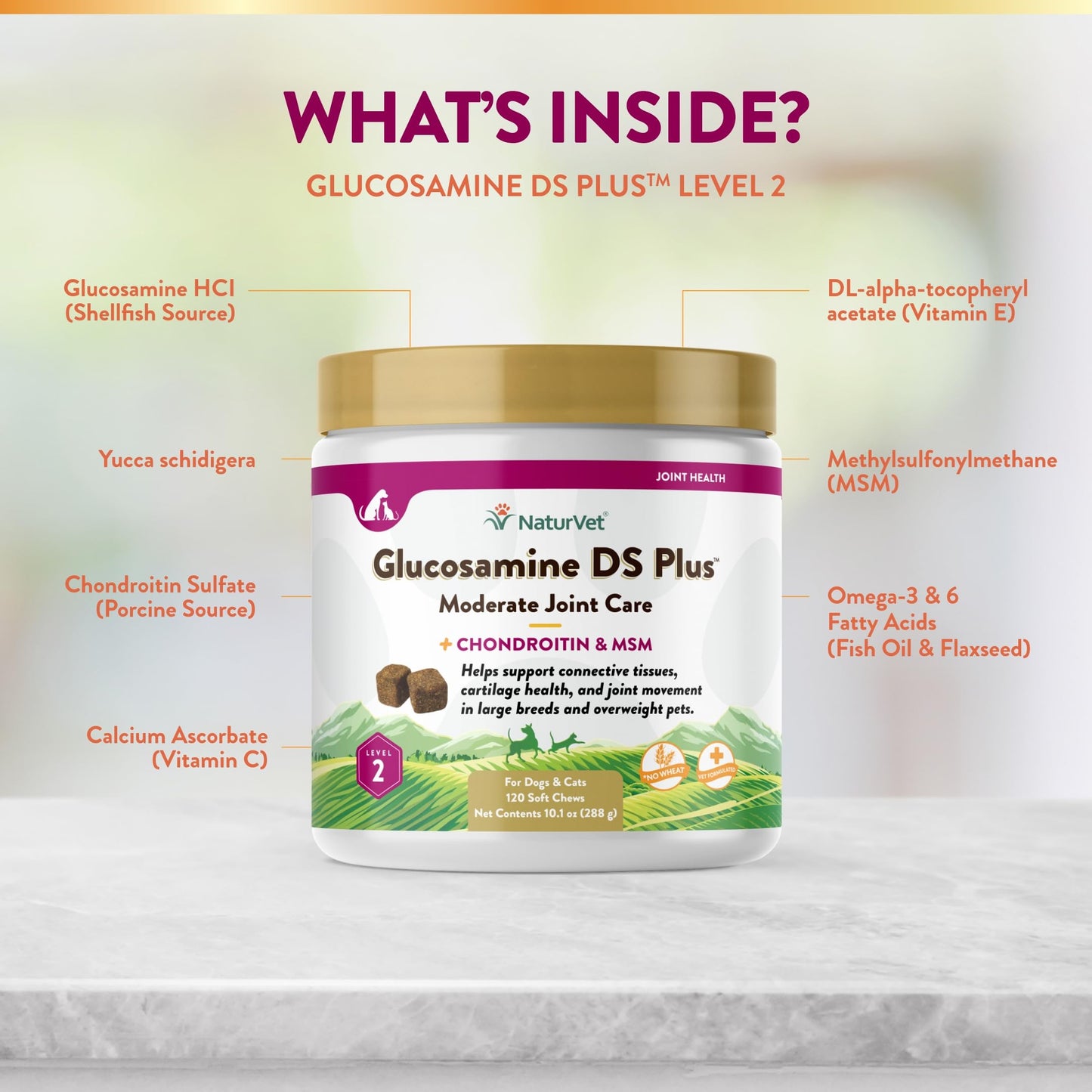 NaturVet – Glucosamine DS Plus - Level 2 Moderate Care – Supports Healthy Hip & Joint Function – Enhanced with Glucosamine, MSM & Chondroitin – for Dogs & Cats–120 Soft Chews NaturVetBuy Supplements Australia