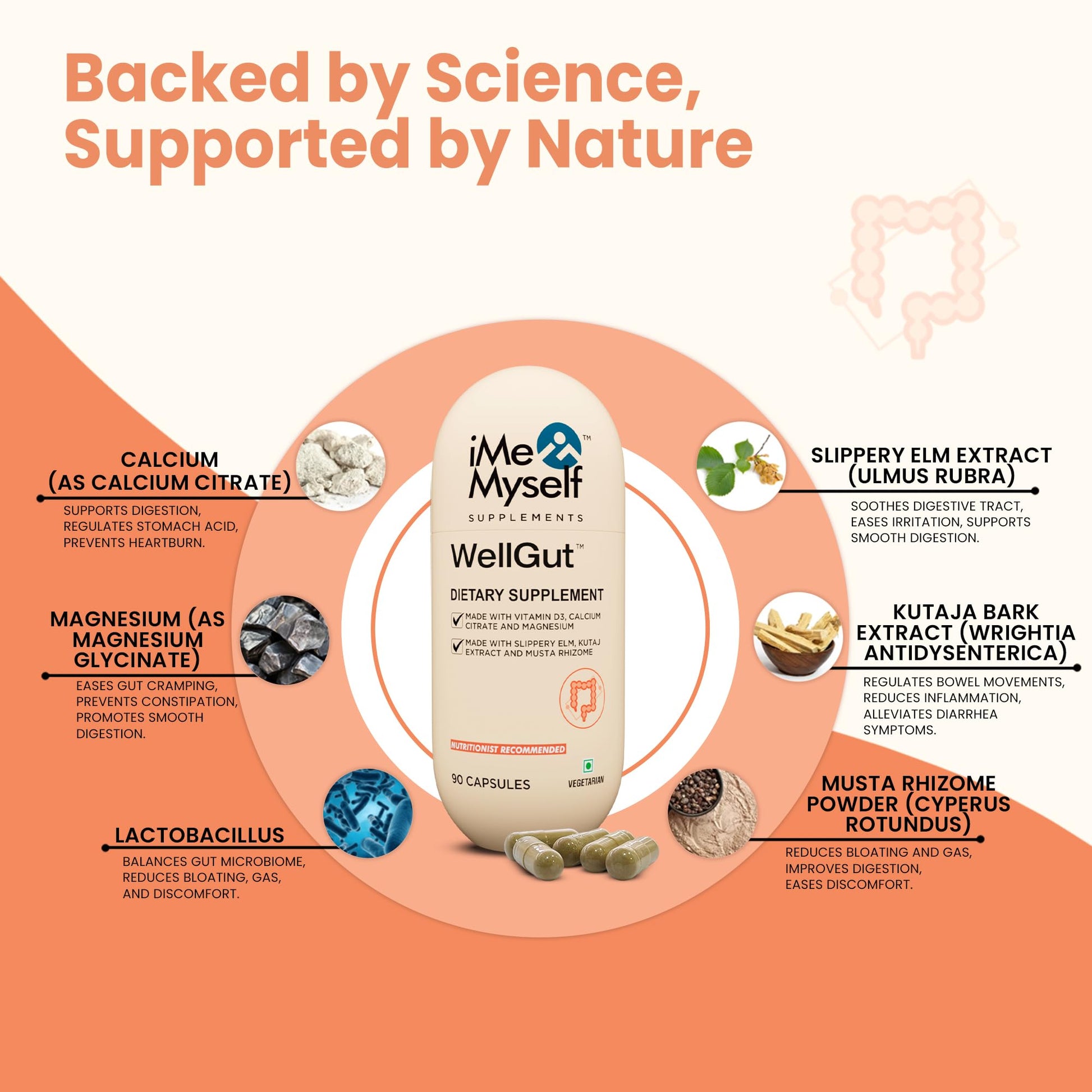 iMeMyself WellGut Daily Herbal Supplement | Traditional Herbs with Minerals & Probiotics 90 Vegan Capsules iMeMyselfBuy Supplements Australia